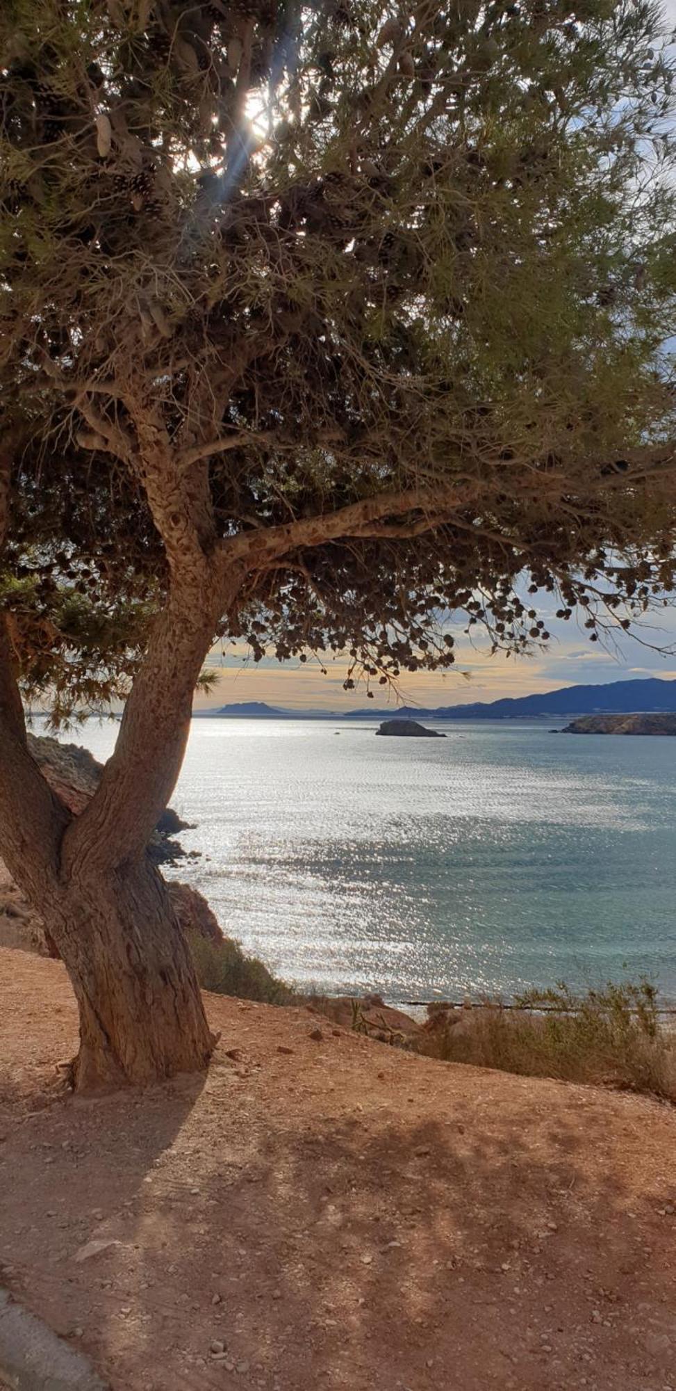 Acogedor Apartamento De Playa Puerto de Mazarron Luaran gambar